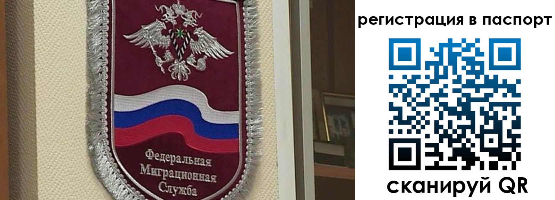 прописка законно в Тереке